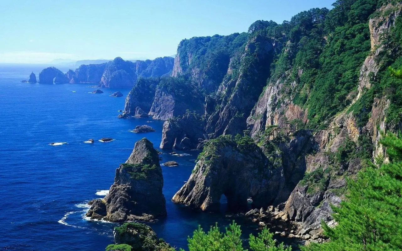 智能全自动